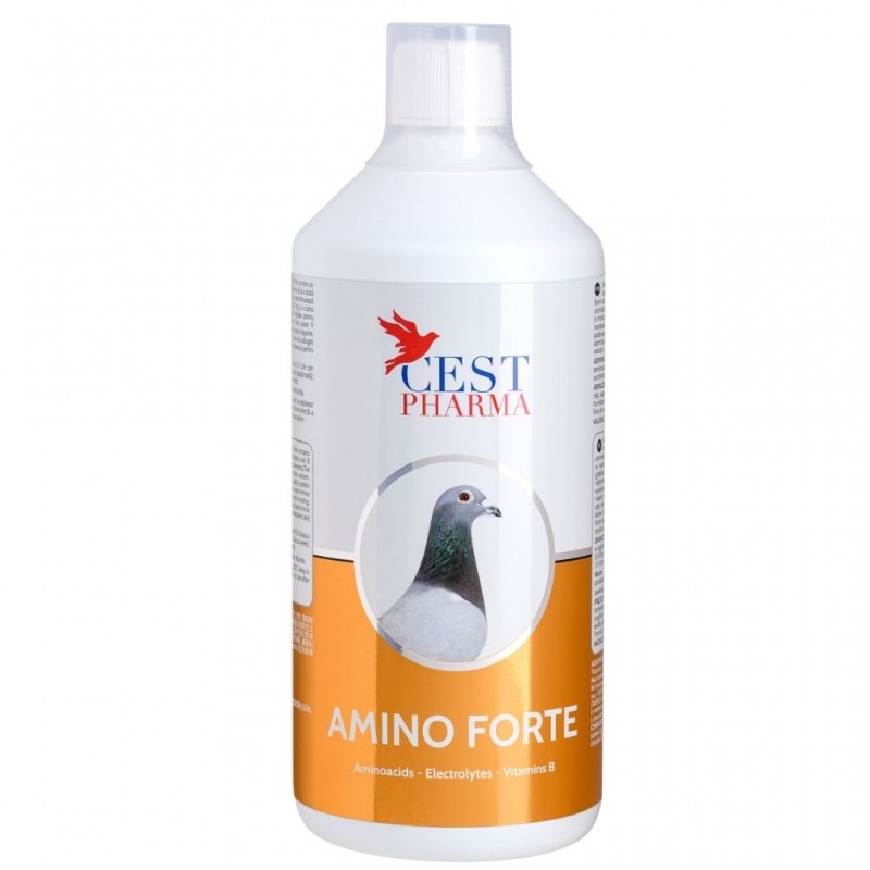 Amino Forte -1000 ml - Cest Pharma