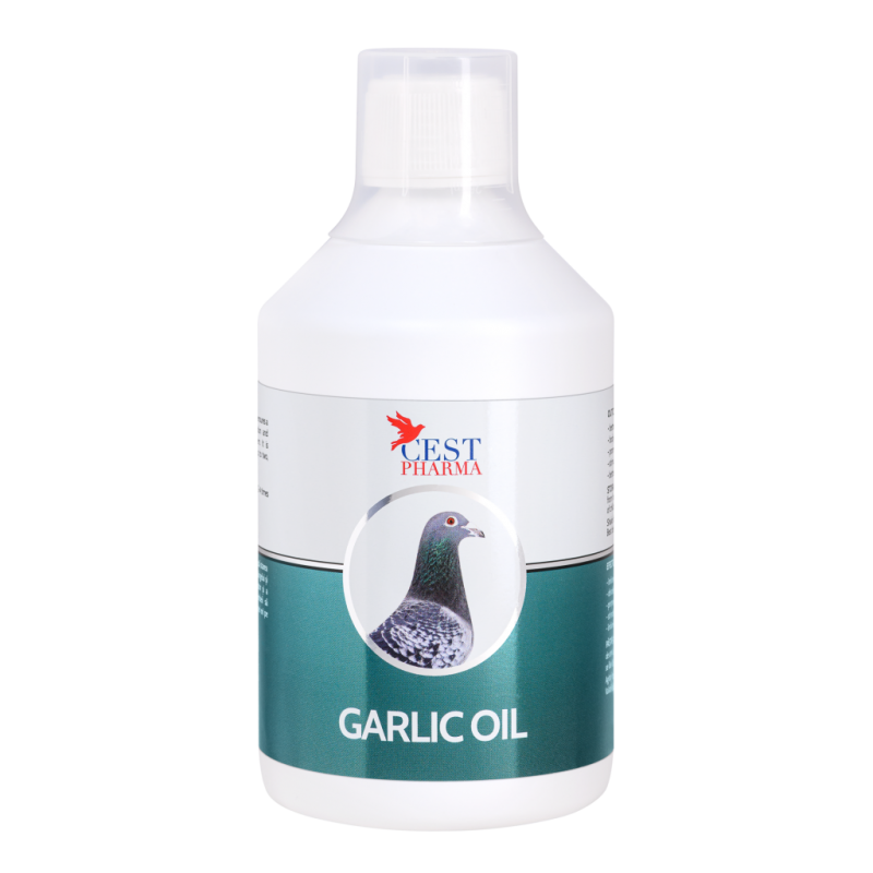 Garlic Oil  250ml - Cest Pharma