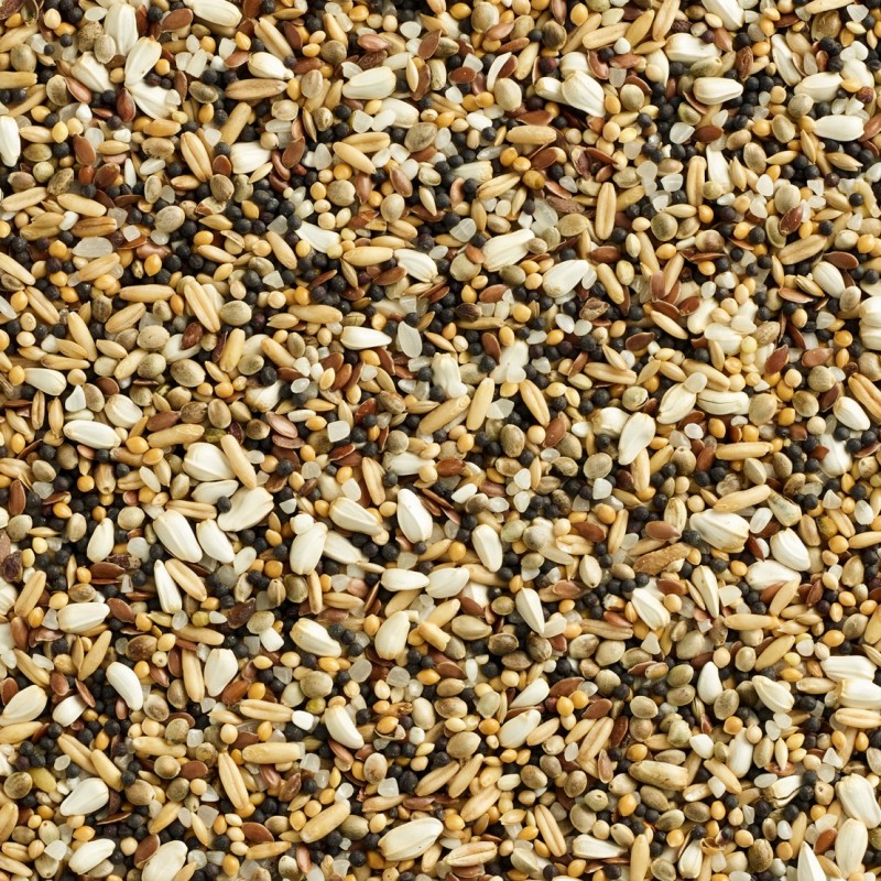 Hrana pentru porumbei Natural special seminte mici 20 kg