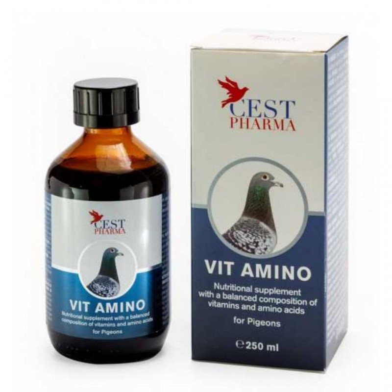 Vit Amino 250 ml Cest Pharma